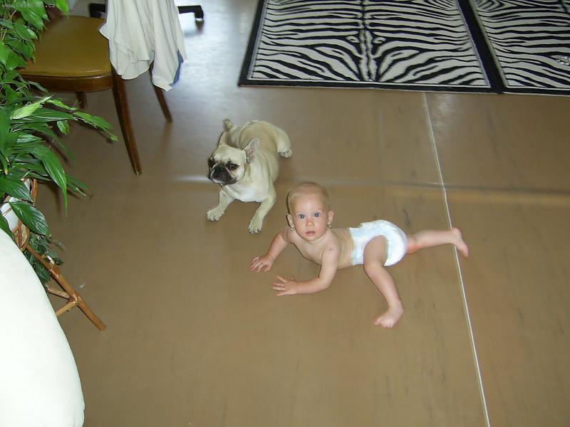 Foto: Buldo�ka Greis a dcerka S�ra-N�kdo se tady asi opi��.....