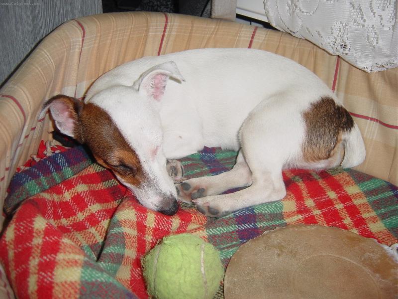 Foto: Ebi�ka-Po spr�vn�m ��d�n� - spr�vn� odpo�inek!