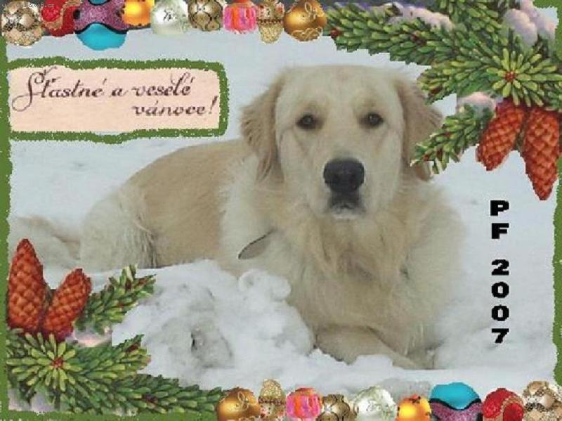 Foto: Vesel� V�noce-nejkr�sn�j�� zimn� �as , pln� sn�hu, radosti, klidu a m�ru