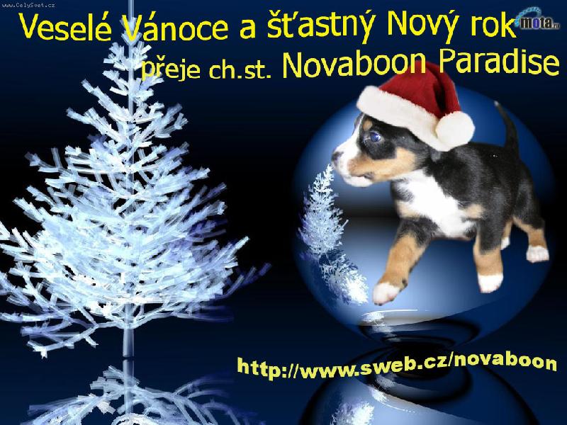 Foto: v�no�n� p��n�-s chut� do Nov�ho roku