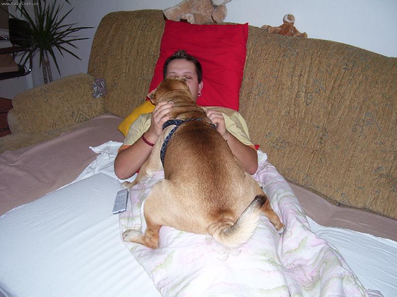 Foto: l���ska nebesk���-pani�ek a n� chlupat� mil��ek nem��ou bez sebe existovat. Bez pusinky na spani neusnou.....