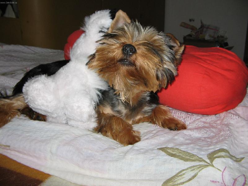 Foto: ...j� se nechci fotit.........!!!