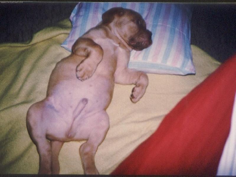 Foto: Aronek-�estit�denn� miminko po ob�d�