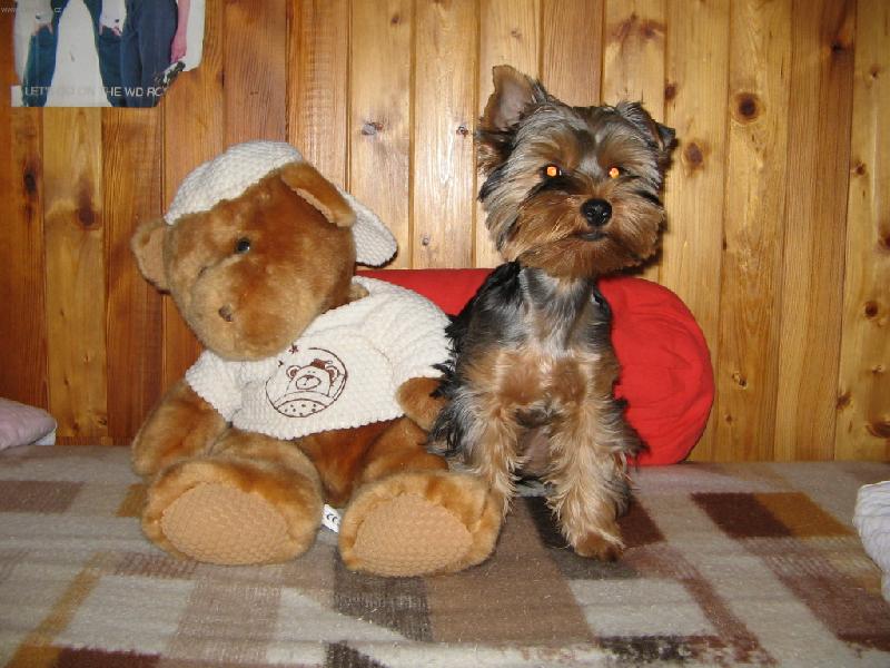 Foto: sladk� jako ten ply��k :o)-to je moje S�rinka