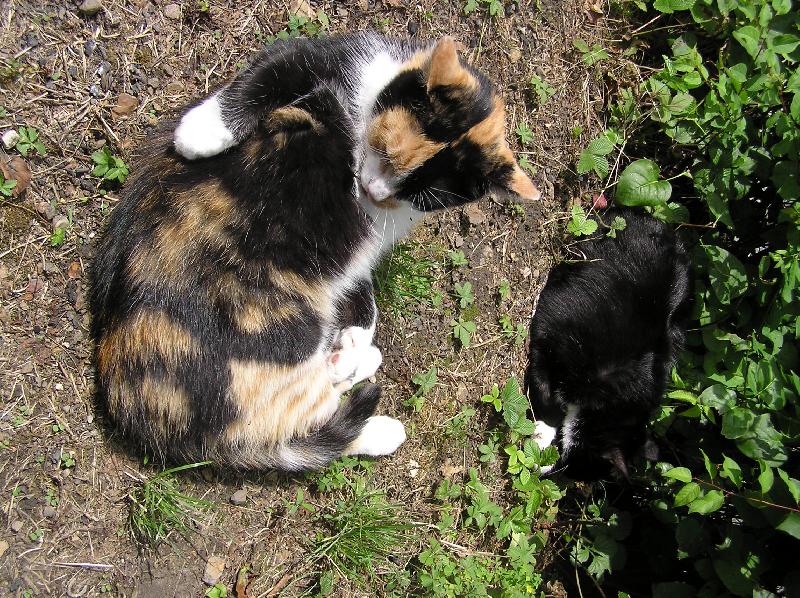 Foto: Zizi a Kuba-O�ista a sp�nek