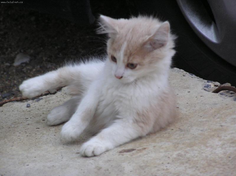 Foto: �ibinkton-U����� asi se p�ev�im....!!!