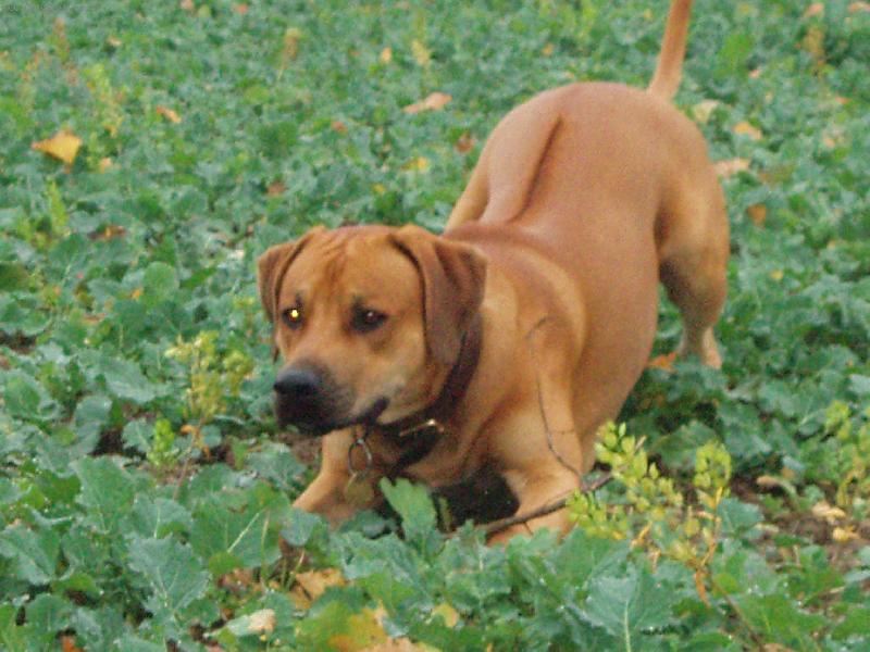 Foto: jen po�kej zaj�ci!