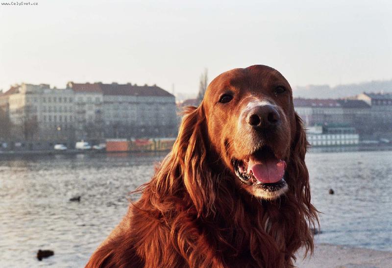 Foto: To jsem ja Filipek II-Mam vas rad;-)