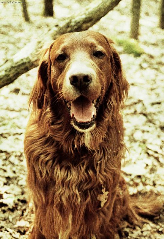 Foto: Filipek se smneje