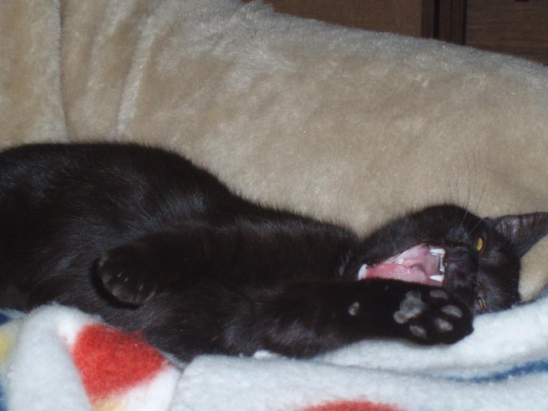 Foto: tak to je n� mazel....-to je ale pohod����������......