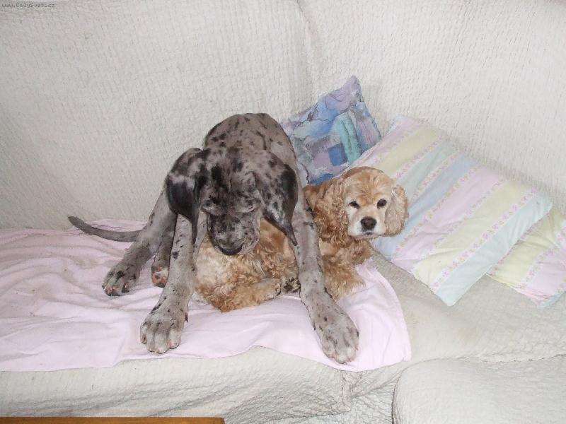 Foto: Attila a Aszia-Vypadni, tady budu j� ...