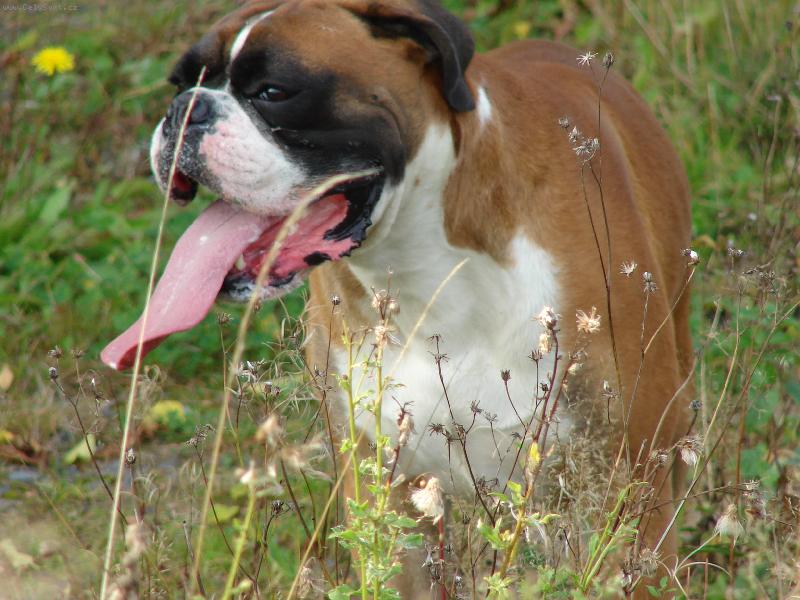 Foto: Toulky p��rodou-Kendy na v�let�