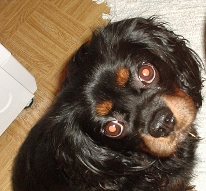 Foto: Art�k-M�j pesan