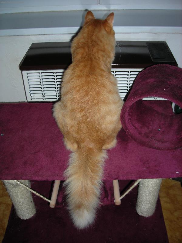 Foto: J� s Tebou neluv�m