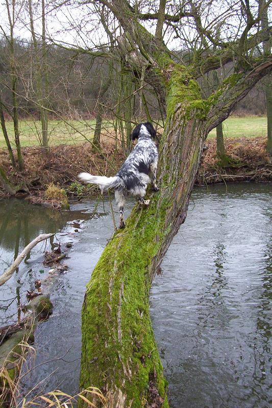 Foto: Hela Od Star� vsi po honu-neboj�m se vody