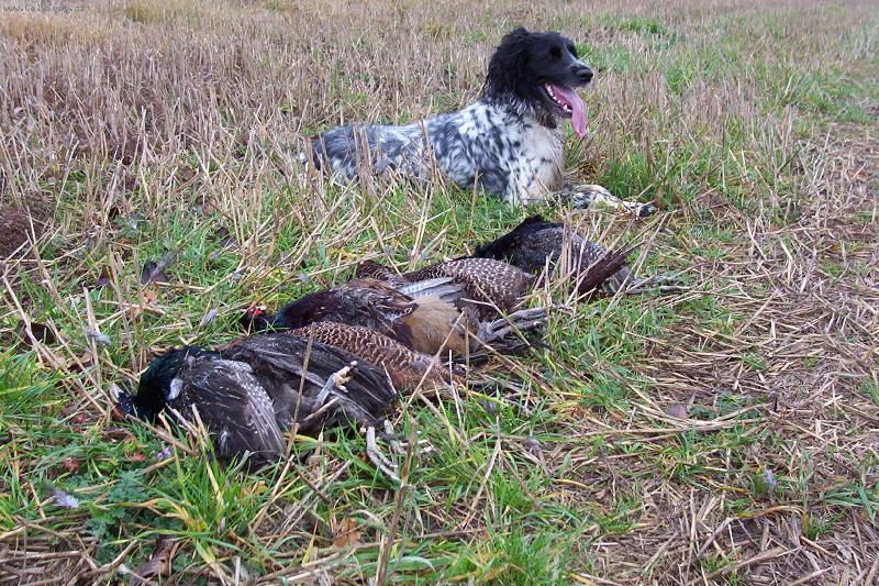 Foto: Hela Od Star� vsi-to jsem zat�m p�inesla