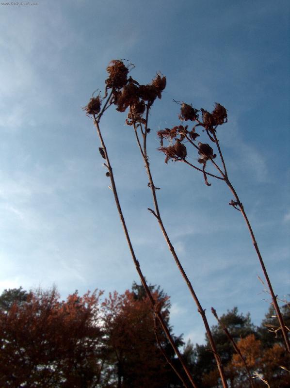 Foto: Pohled na nebe