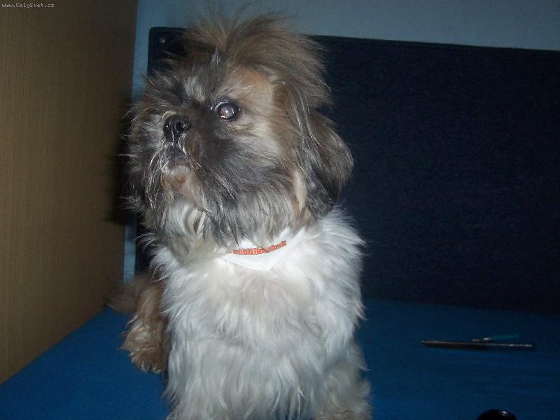 Foto: Vyherce v sutazi milacikovia.sk