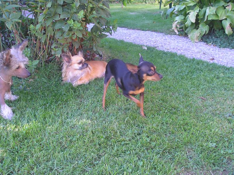 Foto: Arwen, M�a, Scherry-na�e radosti