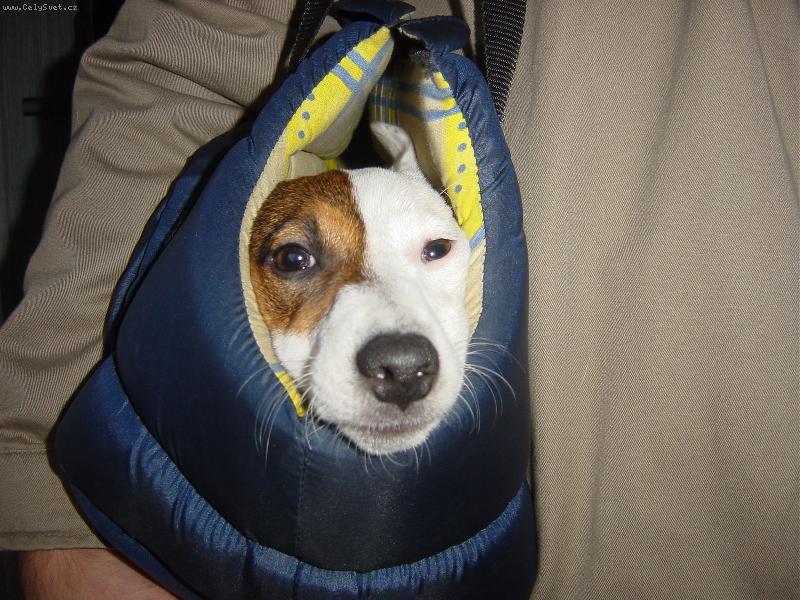 Foto: EBY�KA-KUKLA