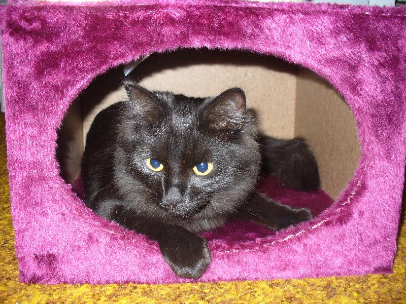 Foto: N� Mike�ek