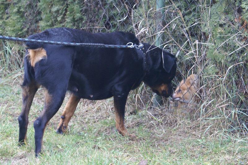 Foto: "M� �t�st�,rotviku,�e jsi za plotem!"