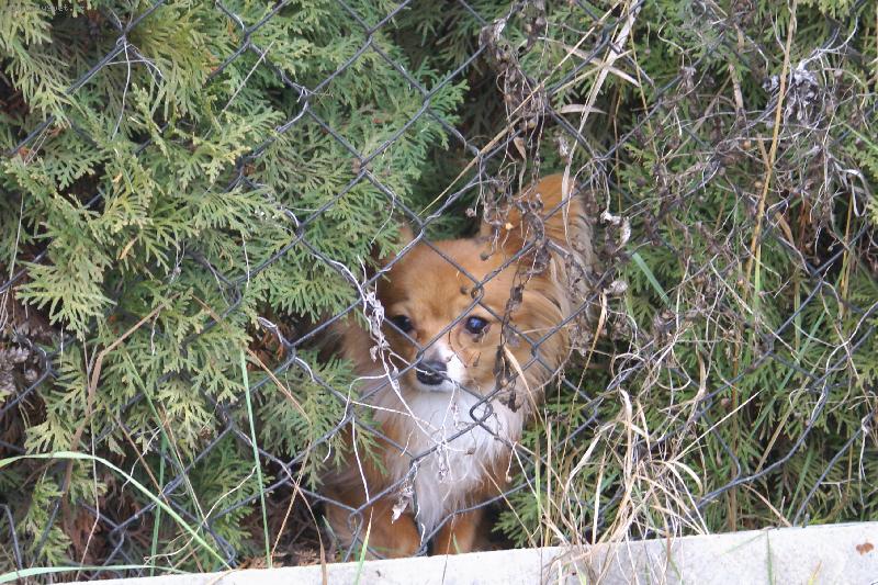 Foto: "Cht�l bych taky sout�it.."