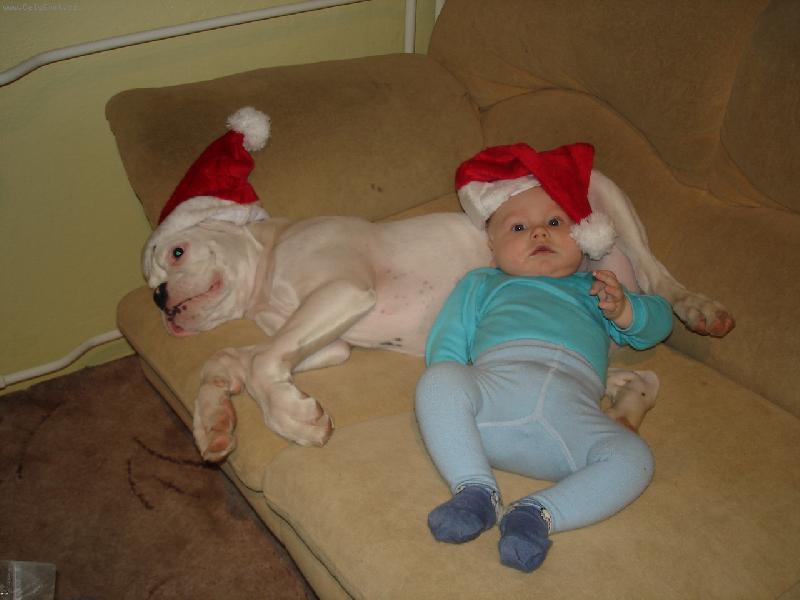 Foto: V�no�n� odpo�inek-Done�ek a Ji���ek