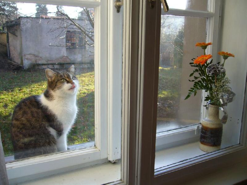 Foto: Pus�te m� dom� - V�noce 2006