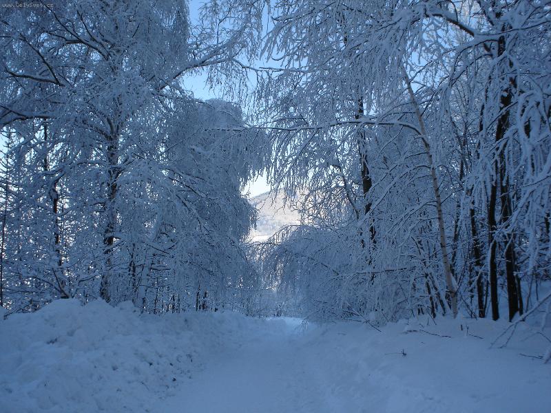 Foto: Na hor�ch-p�kn� to zima (leden 2006)