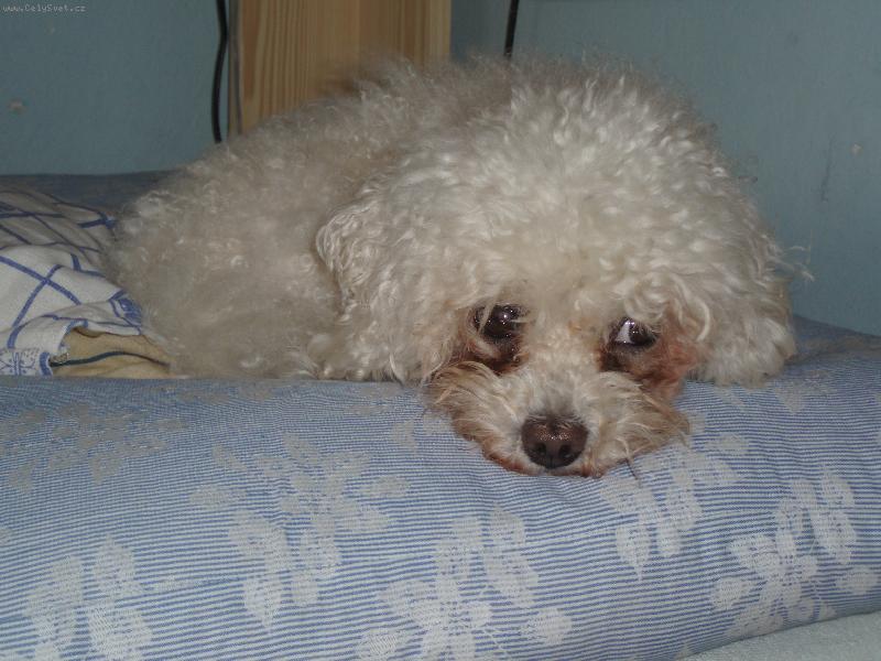 Foto: N� Beni�ek-toto je na�e srd��ko