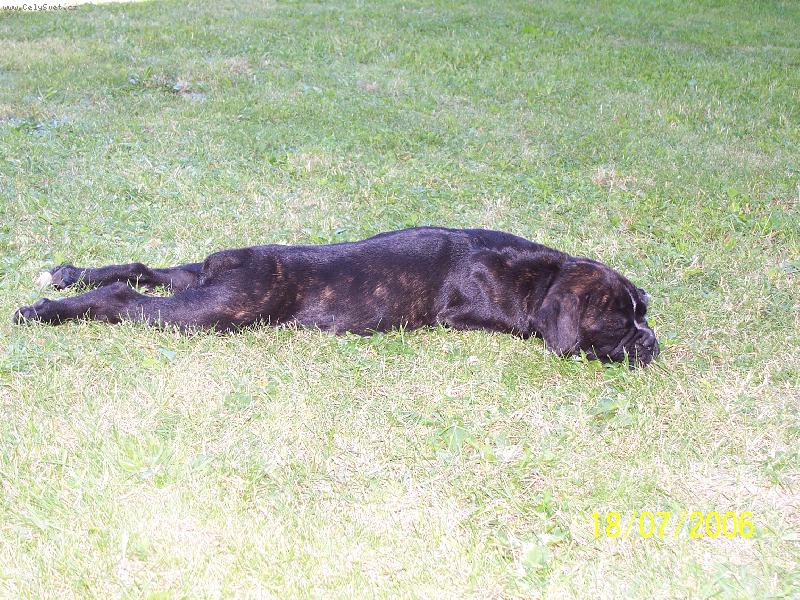 Foto: nella-nata�en� jak zaj��ek