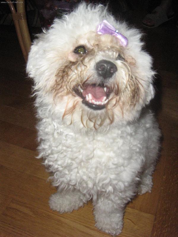 Foto: Zuby dv�ma �adami-Nech�me je Shereence vytrhnout:-)