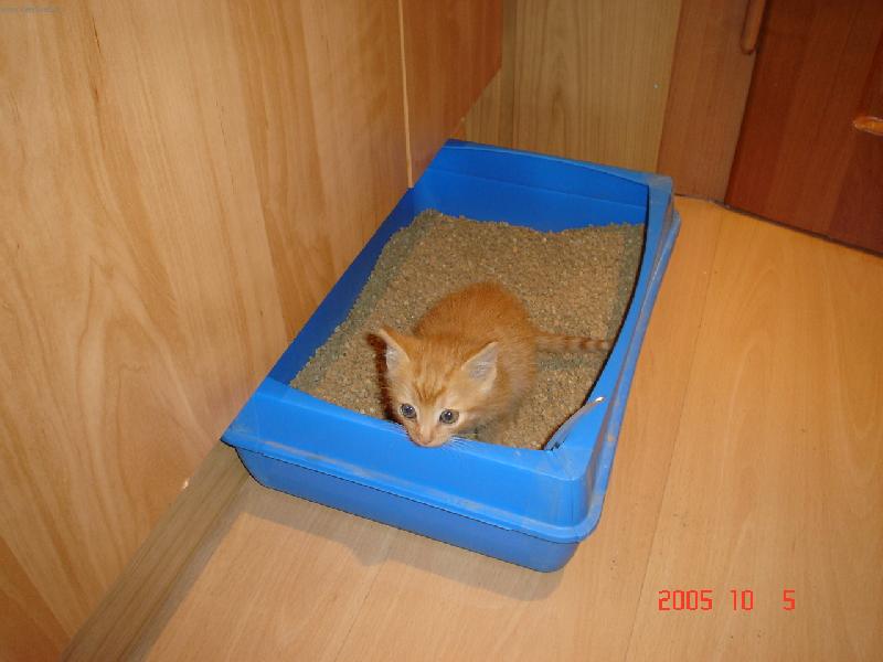 Foto: Mal� Honz�k-to kouk�te co?Jak jsem �ikovn�