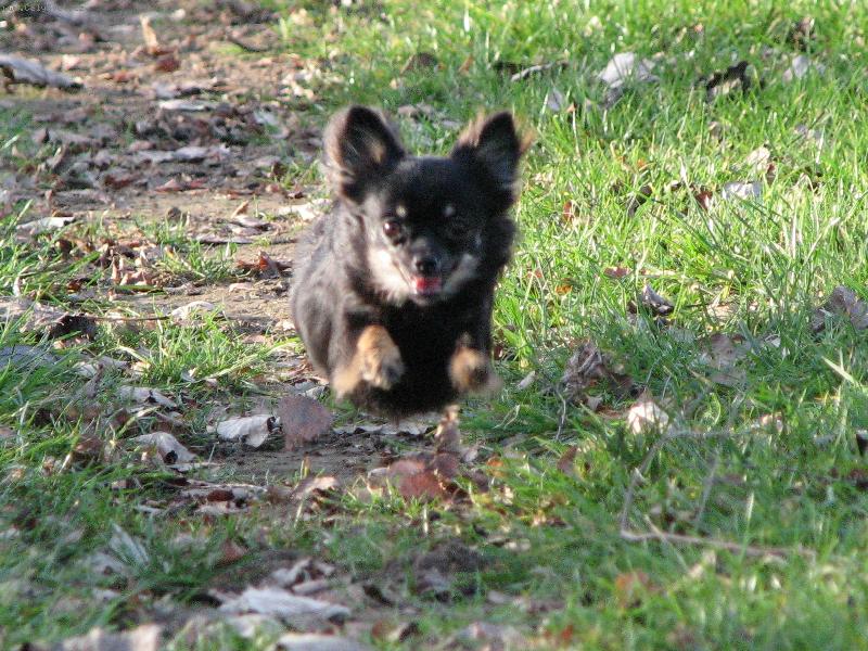 Foto: �ivava v letu-Barborka z T�eba�sk�ho �dol�