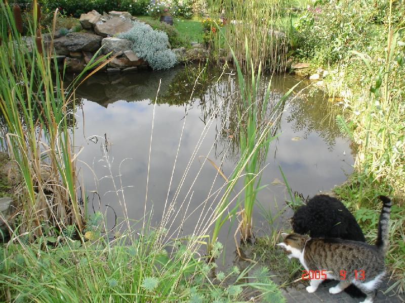 Foto: ��han�-tak kde jsou ty ryby?