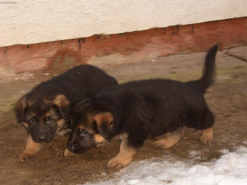 Foto: Stejn� budu rychlej��