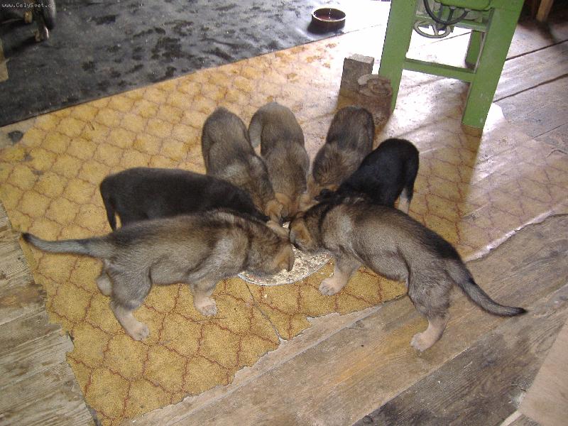 Foto: na�e miminka-snad zbude na ka�d�ho