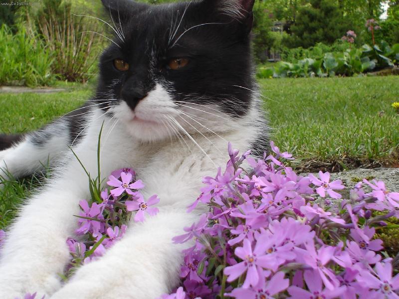 Foto: Blade-kone�n� odpo�inek...