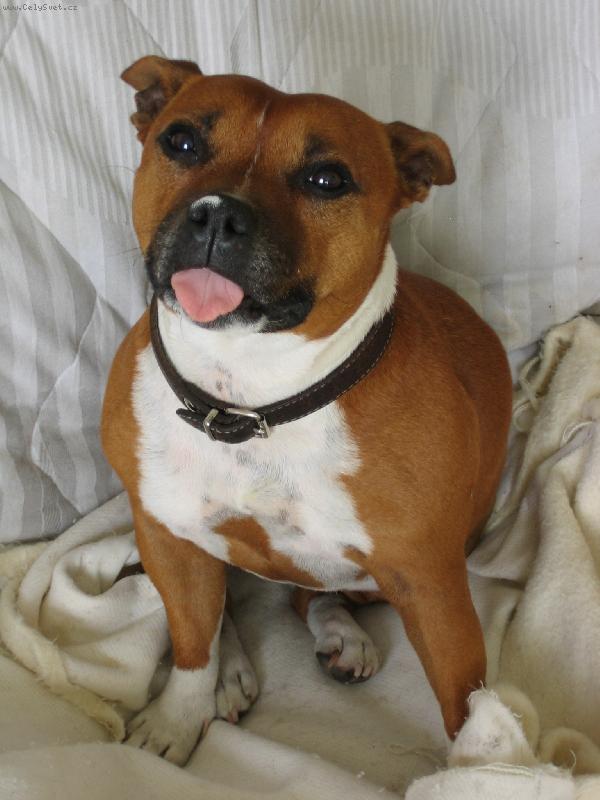 Foto: na�e drah� Julinka