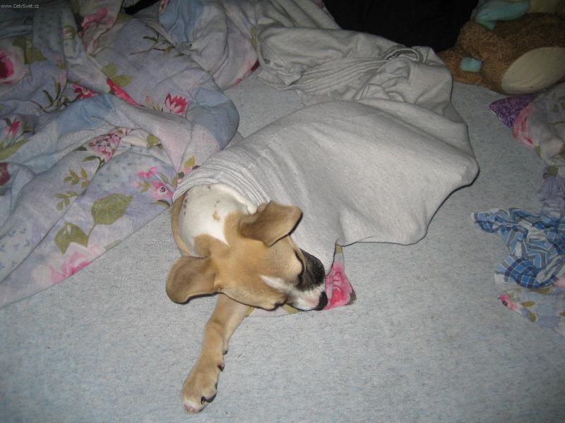 Foto: Sp�t se d� opravdu v�ude,i v nohavici.-Terezka