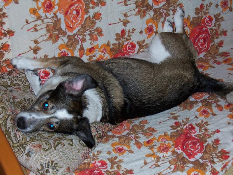 Foto: D�re�ek-to si to hov�m, pani�ka m� sm�lu u� si nesedne