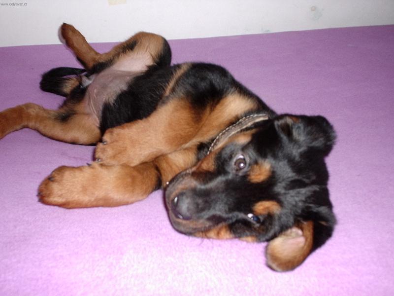 Foto: To je pohodi�ka