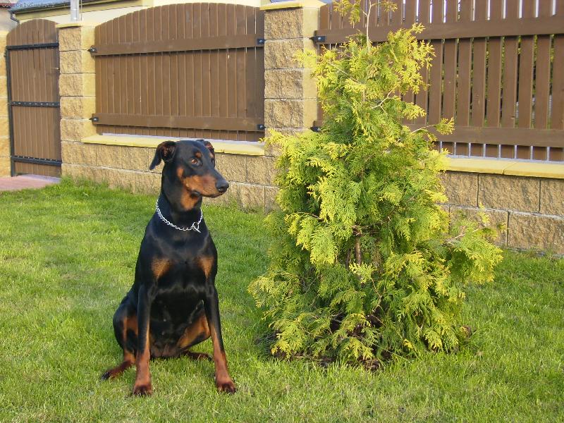 Foto: p�zov�n�