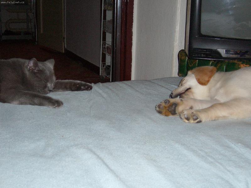 Foto: Alex a Salma-to se n�m spink�