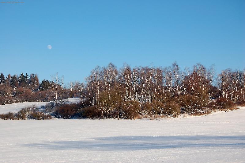 Foto: Zimn� vzpom�nka