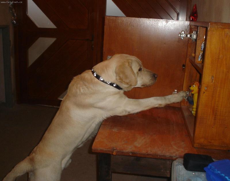 Foto: Toto se mn� l�b�, beru si to!!