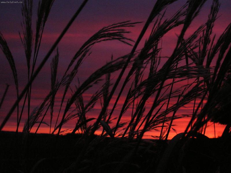 Foto: V�chod slunce v Horn�ch Pol�ic�ch