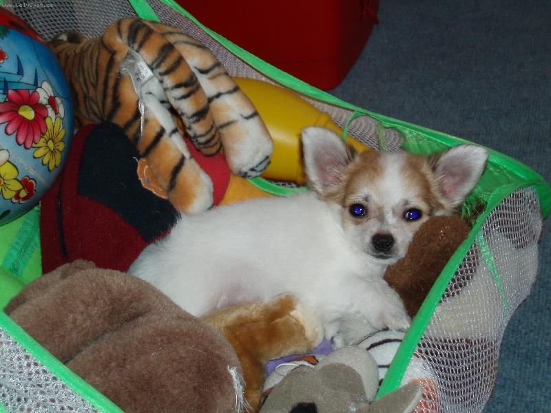 Foto: ply���ek