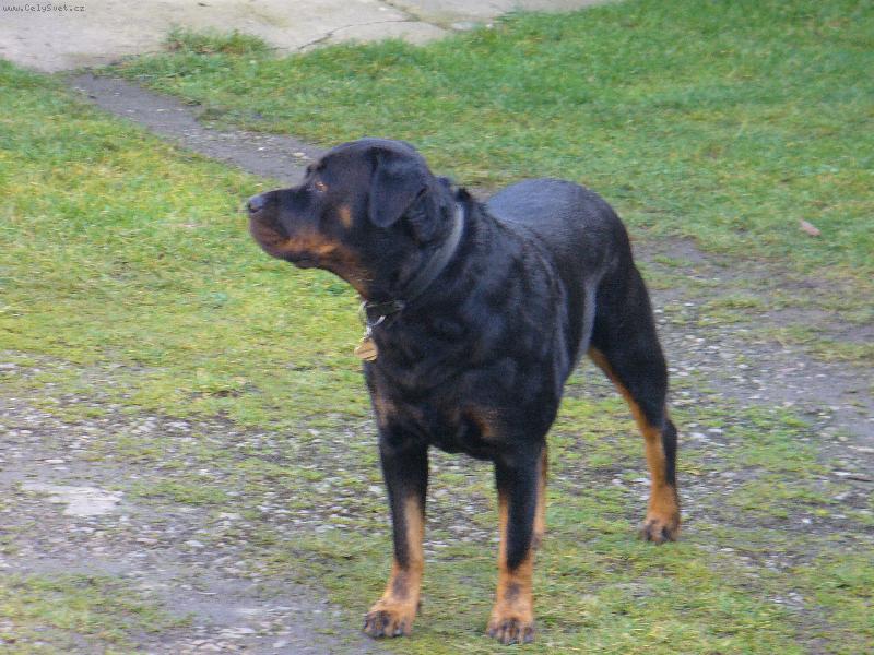 Foto: Nellynka-V�no�n� d�rky u� m�m v b��ku a sn�h nikde?!?!?!?!